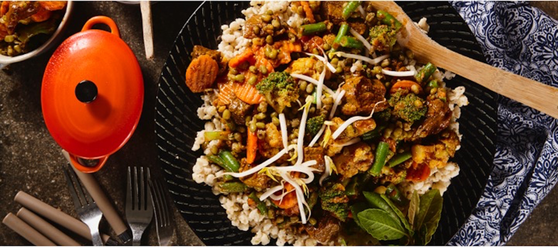 Beef & Garden Mix Curry